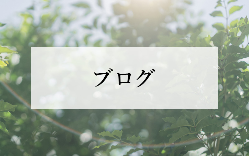 ブログ