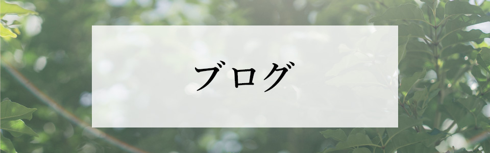 ブログ
